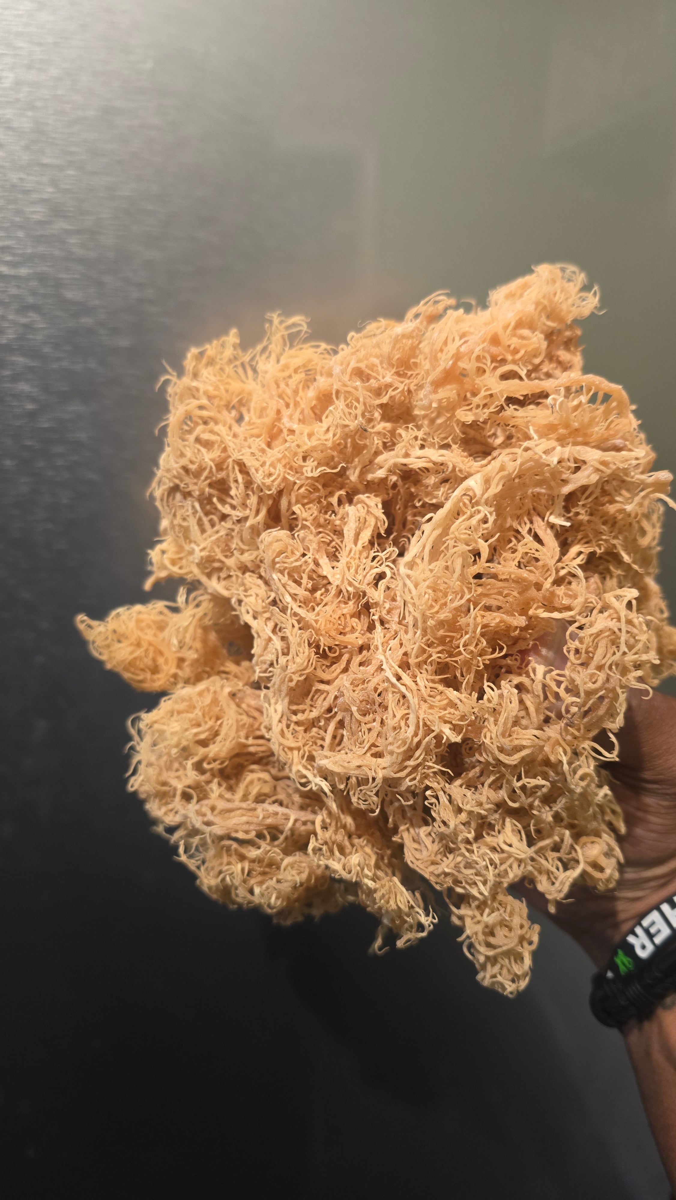 Raw Sea Moss