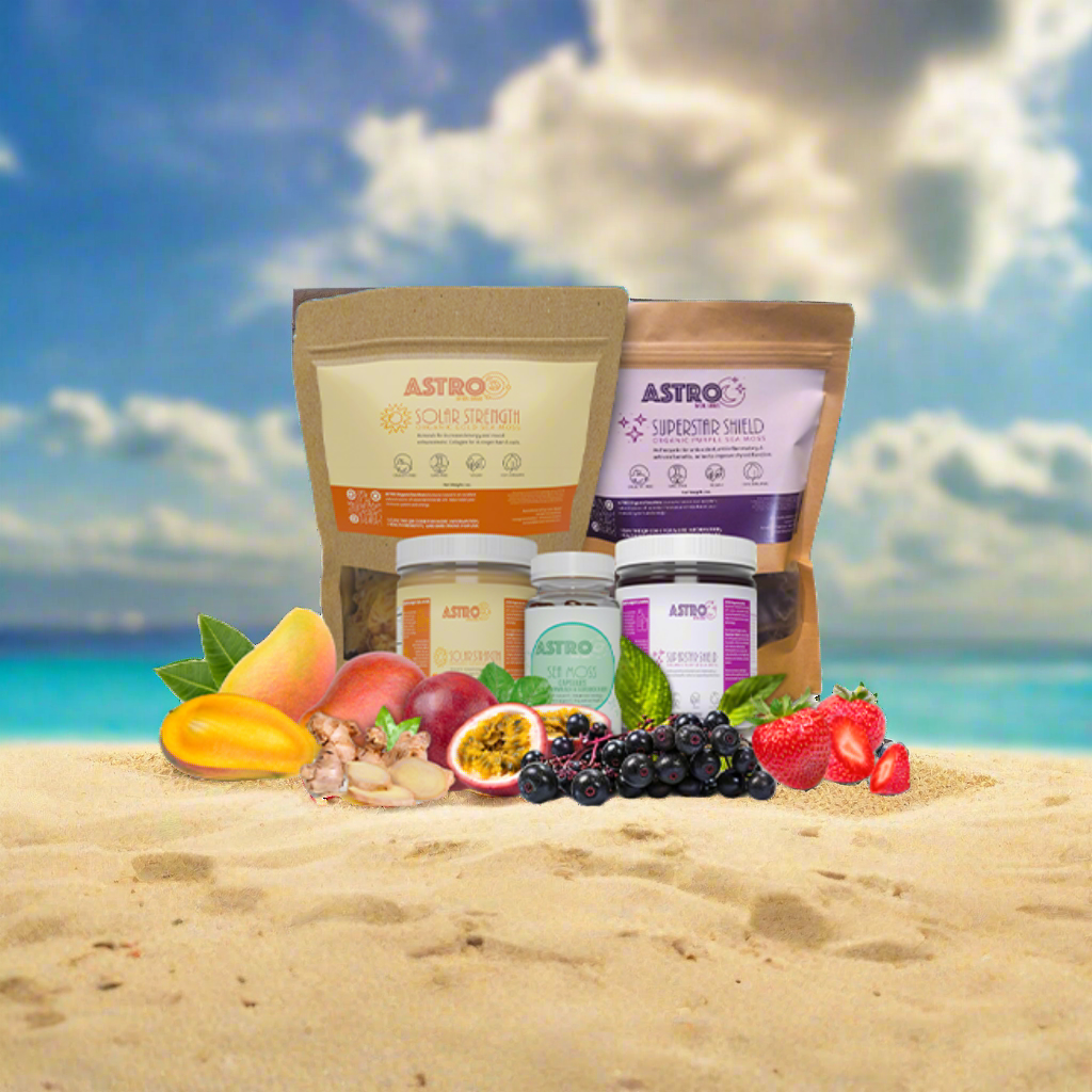 Astro brand fruit infused sea moss gel 16oz jar with natural fruits and herbs