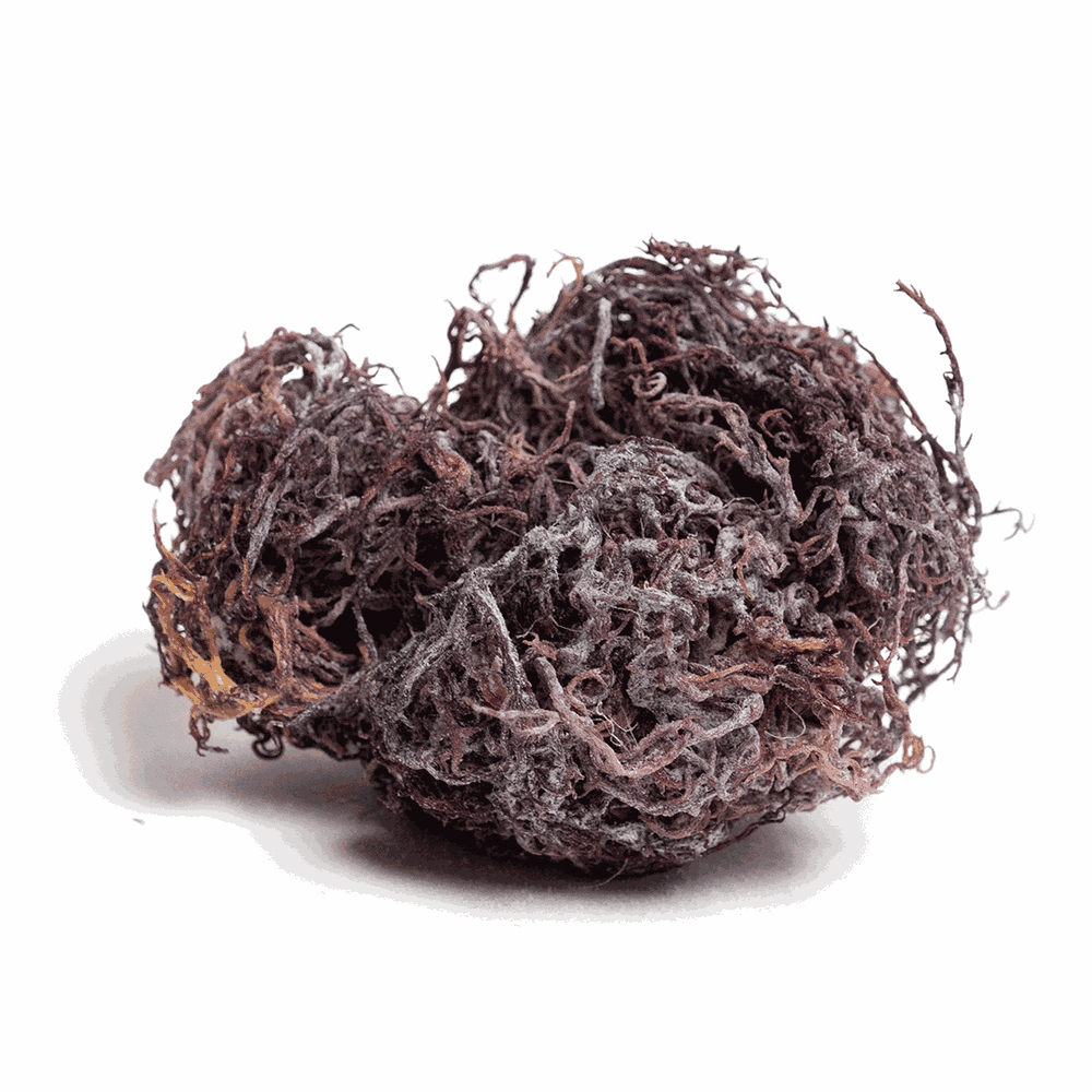 Purple raw Sea Moss