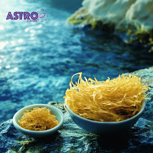 Dive Into the Power of Organic Sea Moss