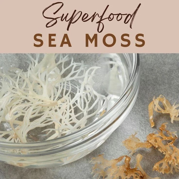 6 Ways To Consume Sea Moss, And Which Is Best For You