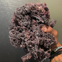 purple raw sea moss held in hand against dark background