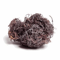 Purple raw Sea Moss