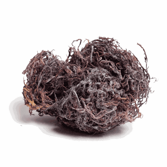 Purple raw Sea Moss